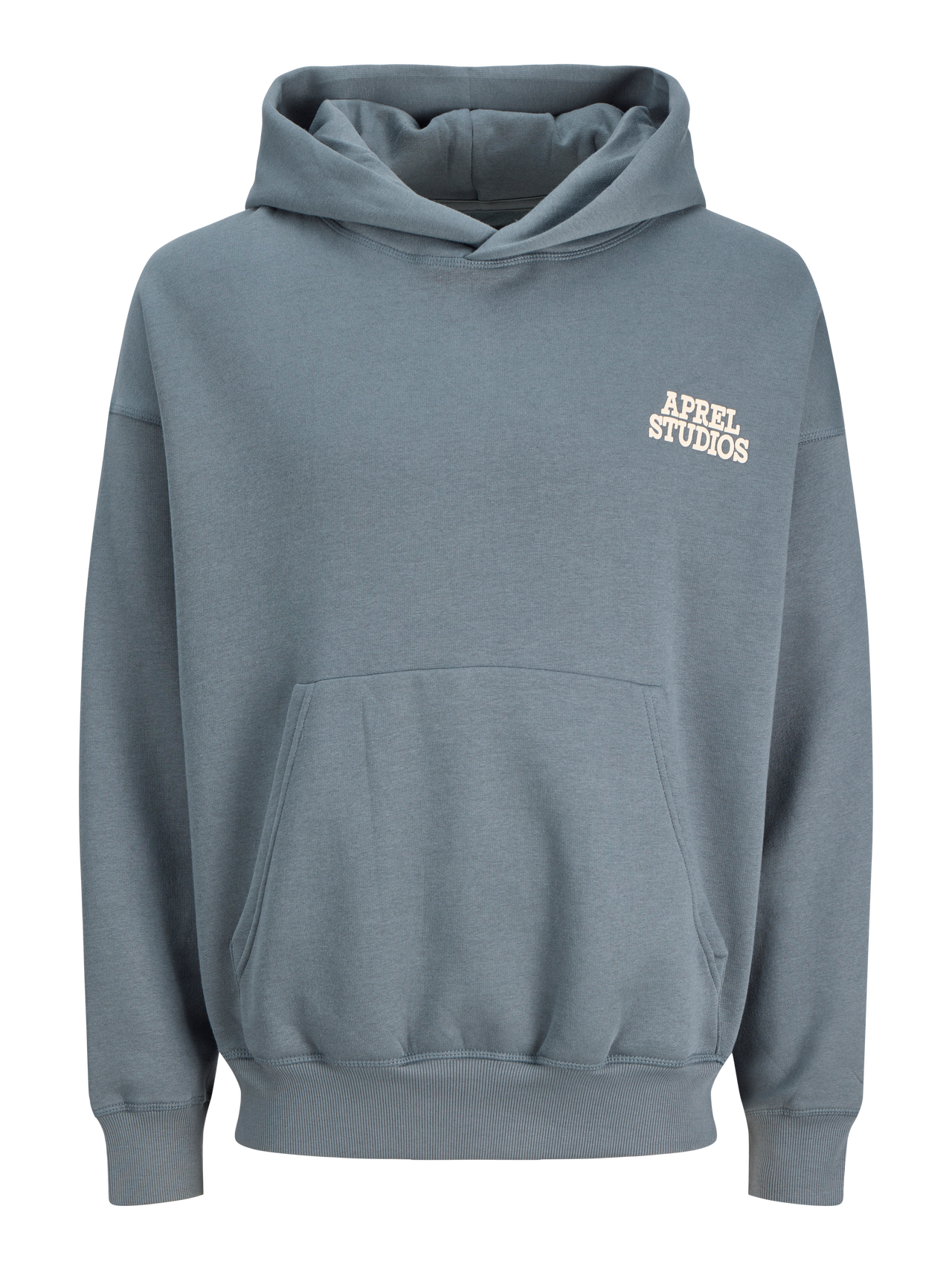 APREL APREL Hoodie -Stormy Weather - 12293948